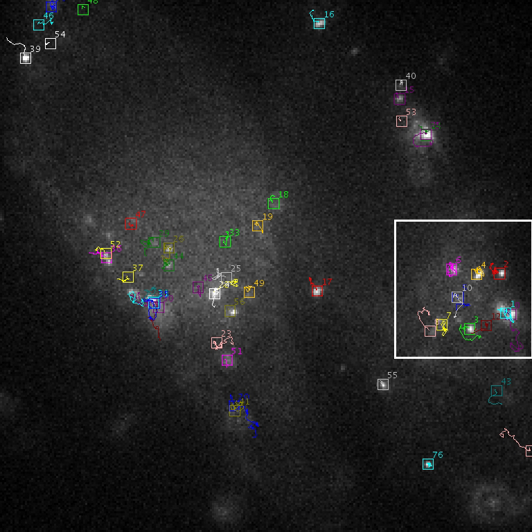 Particle Tracking Challenge